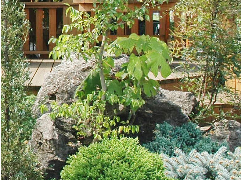 コーラルインテリアガーデン